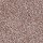 Mohawk Carpet: Soft Comfort Earth Tone